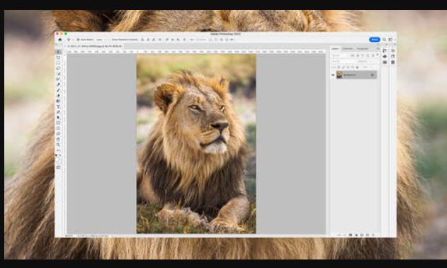 CreativeLive – Ben Willmore – Up to Speed with Photoshop and Bridge