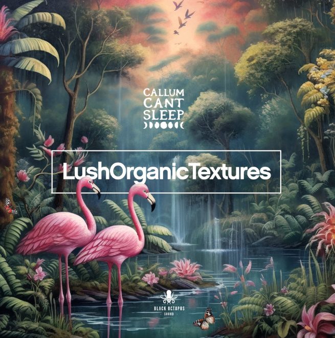 Black Octopus Sound Lush Organic Textures By CallumCantSleep