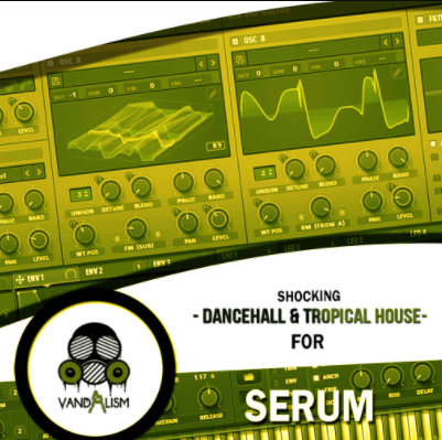 Vandalism Shocking Dancehall And Tropical House For XFER RECORDS SERUM-DISCOVER