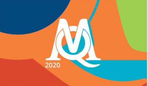 MAXQDA Analytics Pro 2020