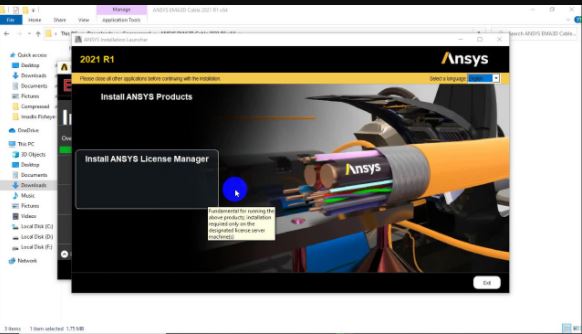 ANSYS EMA3D Cable 2021