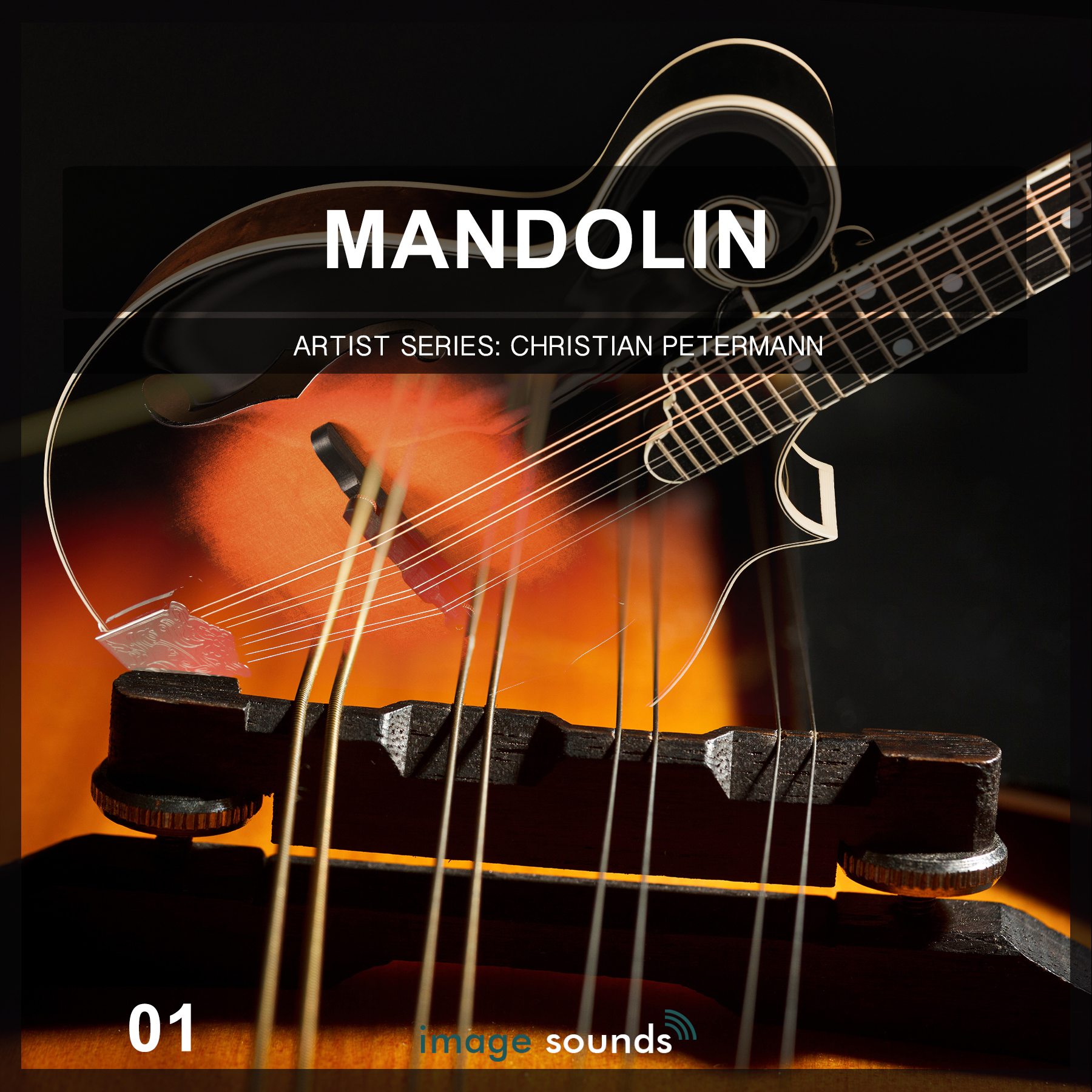 Image Sounds Mandolin 1