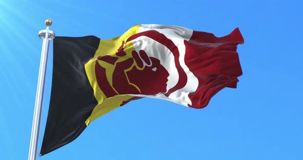 Videohive American Indian Movement Flag 33526353 Free Download