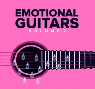 DiyMusicBiz Emotions Guitar SoundPack Vol.2 [WAV]