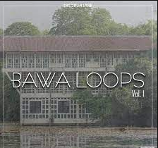 Dynasty Loops Bawa Vol.1
