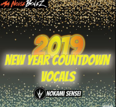 NoiseBonez New Year's Countdown