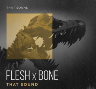 That Sound Flesh X Bone