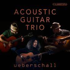 Ueberschall Acoustic Guitar Trio [Elastik]