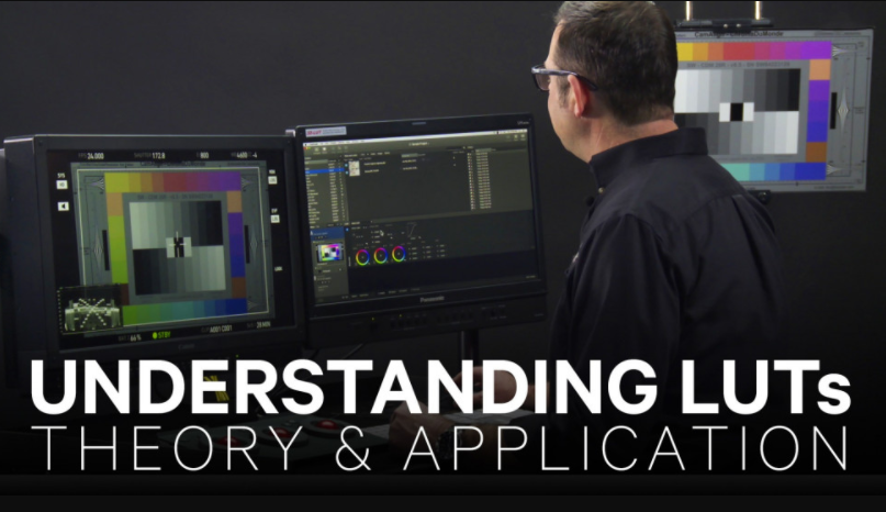 MZED - Understanding LUTs: Theory and Application
