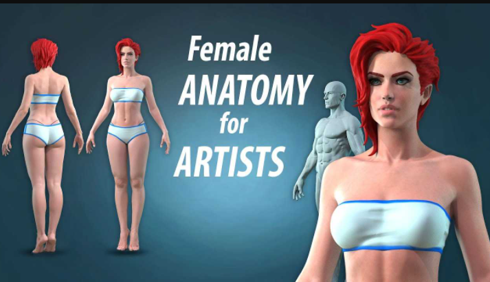 ARTSTATION – FEMALE ANATOMY FOR ARTISTS COURSE