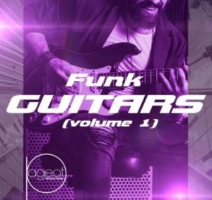 Steve Pageot Funk Guitars Volume 1 [WAV]