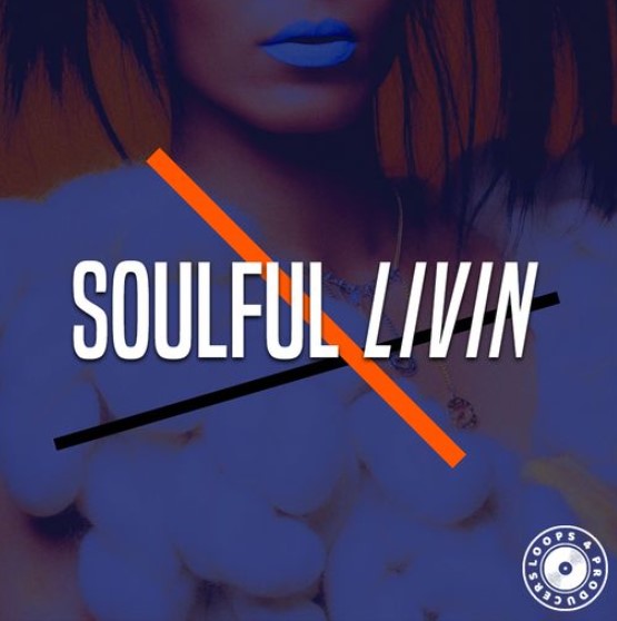 Loops 4 Producers Soulful Livin [WAV]