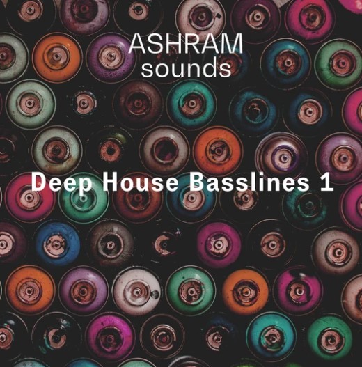 Riemann Kollektion ASHRAM Deep House Basslines 1 [WAV]