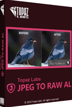 Topaz JPEG to RAW AI 2.2.0 Free Download