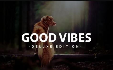 Good Vibes Deluxe Edition | Fro Mobile and Desktop