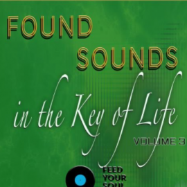 Feed Your Soul Music Found Sounds Vol.3 Sounds in The Key of Life (Premium)