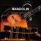 Image Sounds Mandolin 1 [WAV] (Premium)