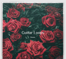 BK Andersen Guitar Loops Roses [WAV] (Premium)