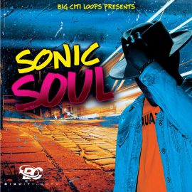 Big Citi Loops Sonic Soul [WAV] (Premium)