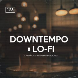 Bingoshakerz Downtempo and Lo-Fi (Premium)