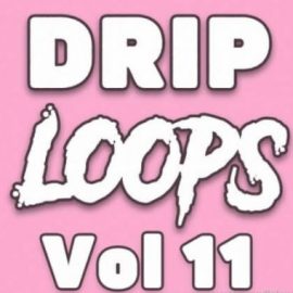 DiyMusicBiz Drip Loops Vol.11 [WAV] (Premium)