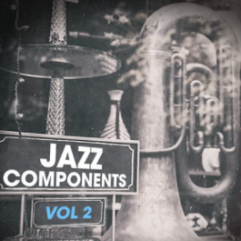 New Beard Media Jazz Components Vol.2 [WAV] (Premium)