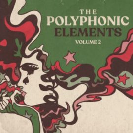 Polyphonic Music Library The Polyphonic Elements Vol.2 [WAV] (Premium)