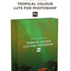 Prince Meyson – Tropical Colour LUTs For Photoshop