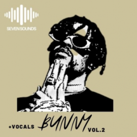 Seven Sounds Bunny Volume 2 [WAV, MiDi] (Premium)
