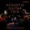 Ueberschall Acoustic Guitar Trio [Elastik] (Premium)