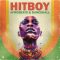 VBGotHeat HitBoy 1 Afrobeats and Dancehall [WAV, MiDi] (Premium)