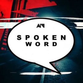 About Noise Spoken Word [WAV] (Premium)