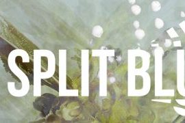 Aescripts Split Blur v1.0.2 for After Effects