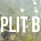 Aescripts Split Blur v1.0.2 for After Effects