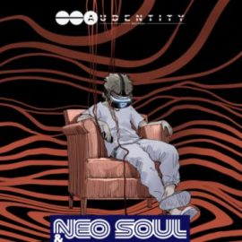 Audentity Records Neo Soul and Live Instruments [WAV] (Premium)