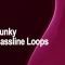 AudioFriend Funky Bassline Loops [WAV] (Premium)
