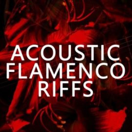 Blackwood Samples Acoustic Flamenco Riffs [WAV] (Premium)