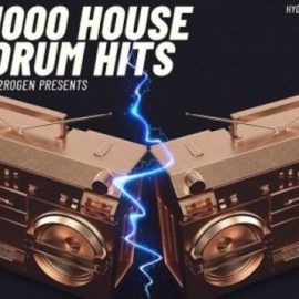 HY2ROGEN 1000 House Drum Hits [MULTiFORMAT] (Premium)