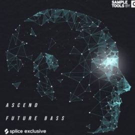 Sample Tools By Cr2 Ascend Future Bass [WAV] (Premium)