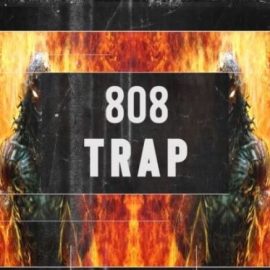BFractal Music 808 Trap (Premium)