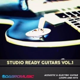 DABRO Music Studio Ready Guitars [WAV, REX] (Premium)
