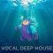 Dropgun Samples Vocal Deep House [WAV, Synth Presets] (Premium)