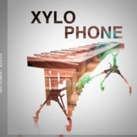 Image Sounds Xylophone [WAV] (Premium)