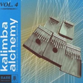 RARE Percussion Kalimba Alchemy Vol.4 [WAV] (Premium)