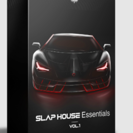 Ultrasonic-Sounds Slap House Essentials Vol.1 – Full (premium)