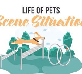 Videohive Life of pets – Scene Situation 32350351