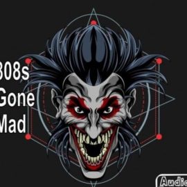 AudioFriend 808s Gone Mad [WAV] (Premium)