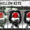 BFractal Music Mellow Keys [WAV] (Premium)