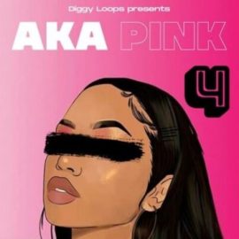 Diggy Loops Aka Pink 4 [WAV] (Premium)