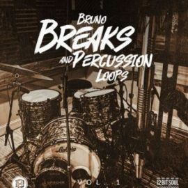 Divided Souls Bruno Breaks And Percussion Loops [WAV] (Premium)